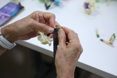 438945194_846093100890527_6255153566729411670_n