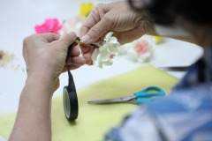 438998257_846093284223842_5792660603923907606_n