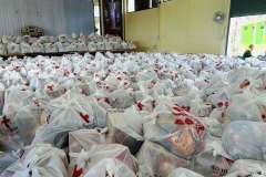 594061243_1293799802786519_1252569061602038696_n