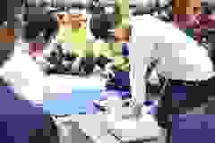 445680703_866431022190068_8083130265272167206_n