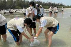 335521416_914565343219599_3278055876596748021_n