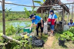 S__51568737