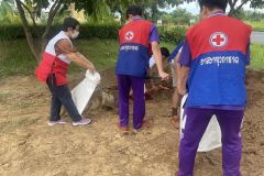 385049470_1024354405686042_347022324174535283_n