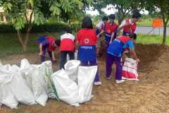 385774406_1024354299019386_3833295048200264797_n