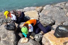 337672946_176142621942869_6262762780468476683_n